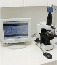 sec1_image